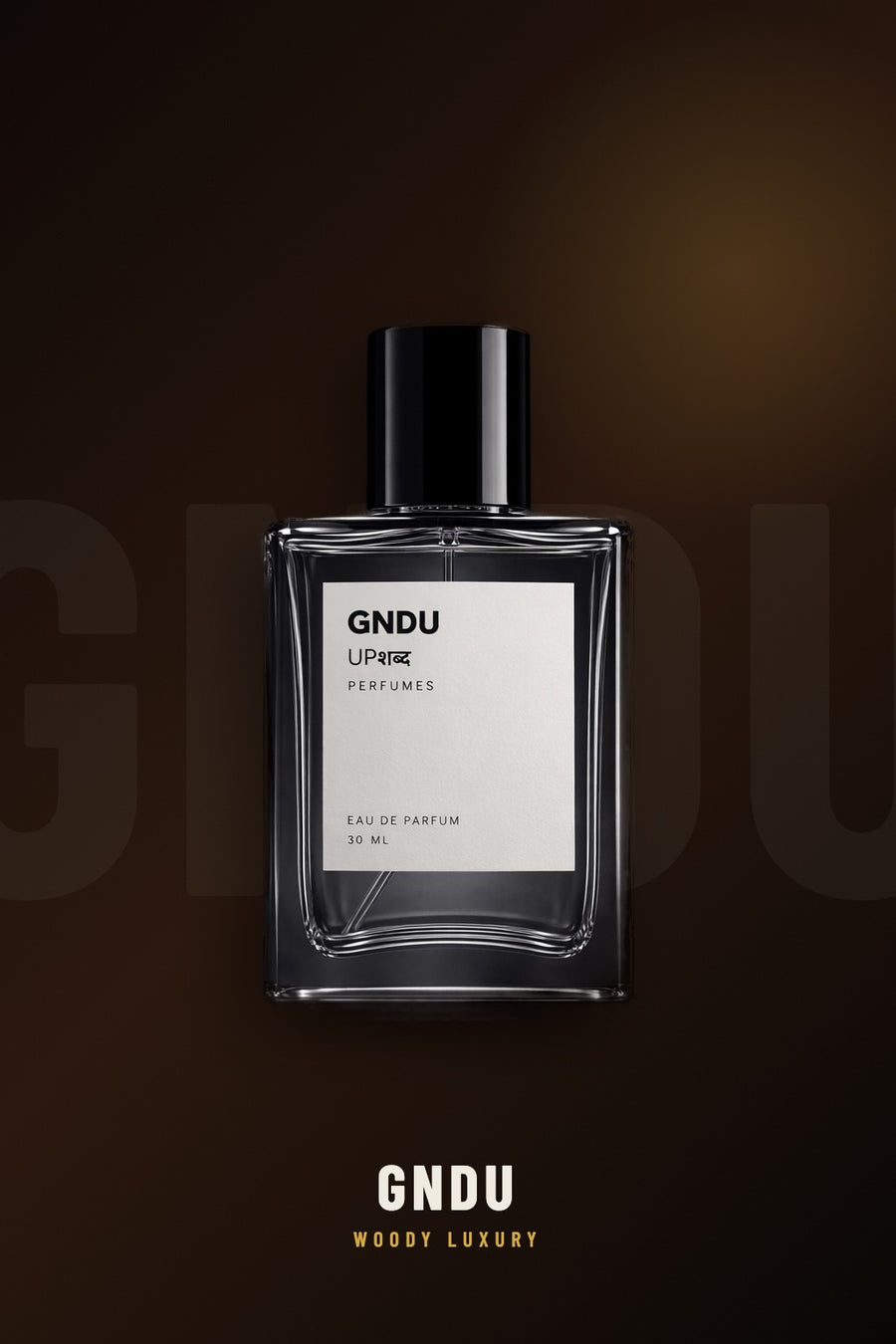 GNDU
